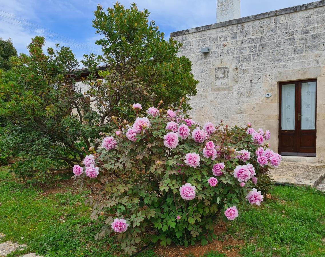 Masseria Montecchie Lejlighed Ceglie Messapica Eksteriør billede